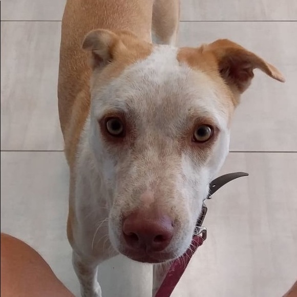 Meet your Posher, Chris - Picture 1 of 1